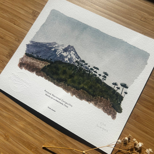 Volcán Llaima, Parque Nacional Conguillio. Paisaje #05