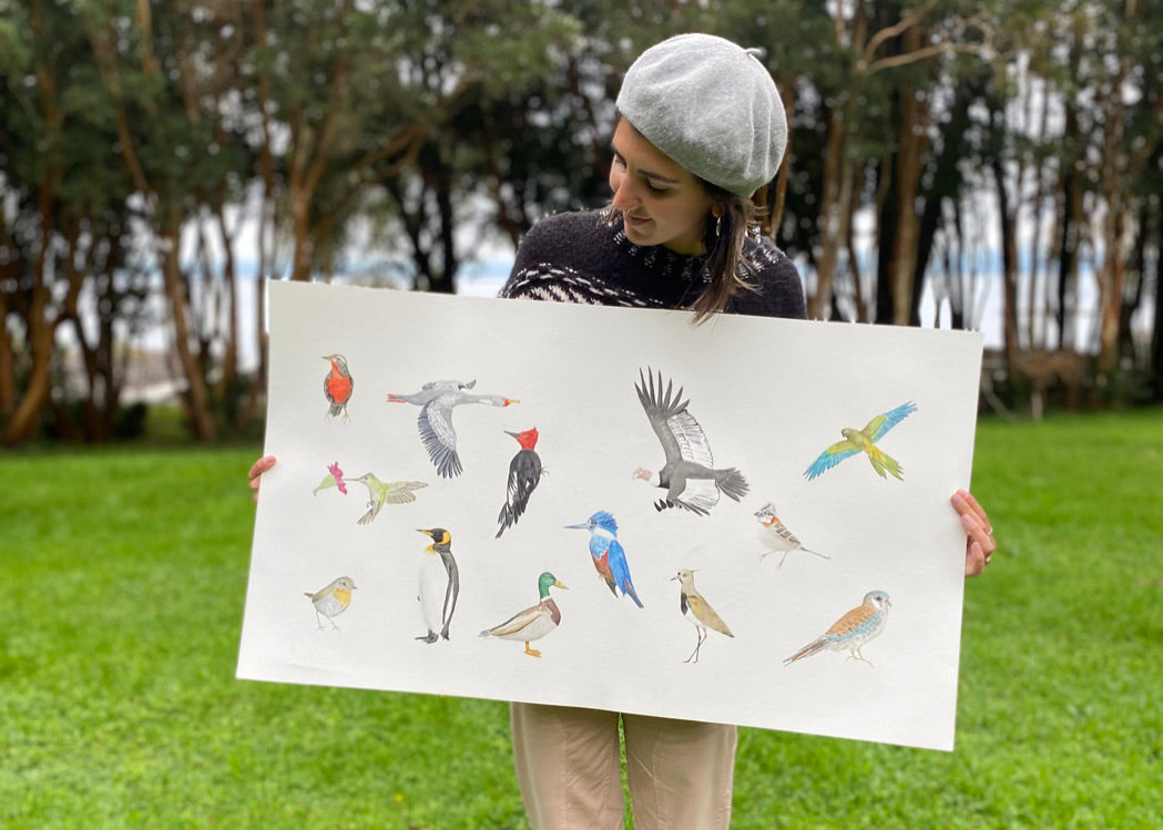 Set aves nativas