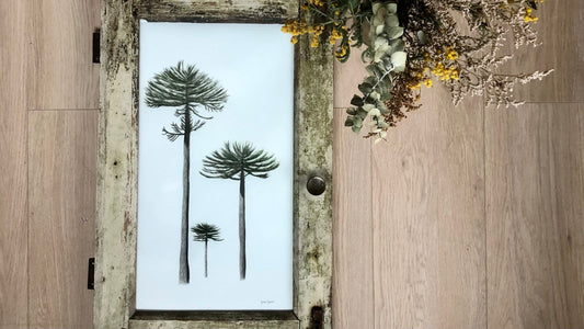 Trío de Araucarias