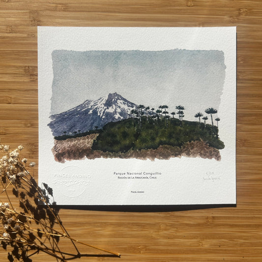 Volcán Llaima, Parque Nacional Conguillio. Paisaje #05