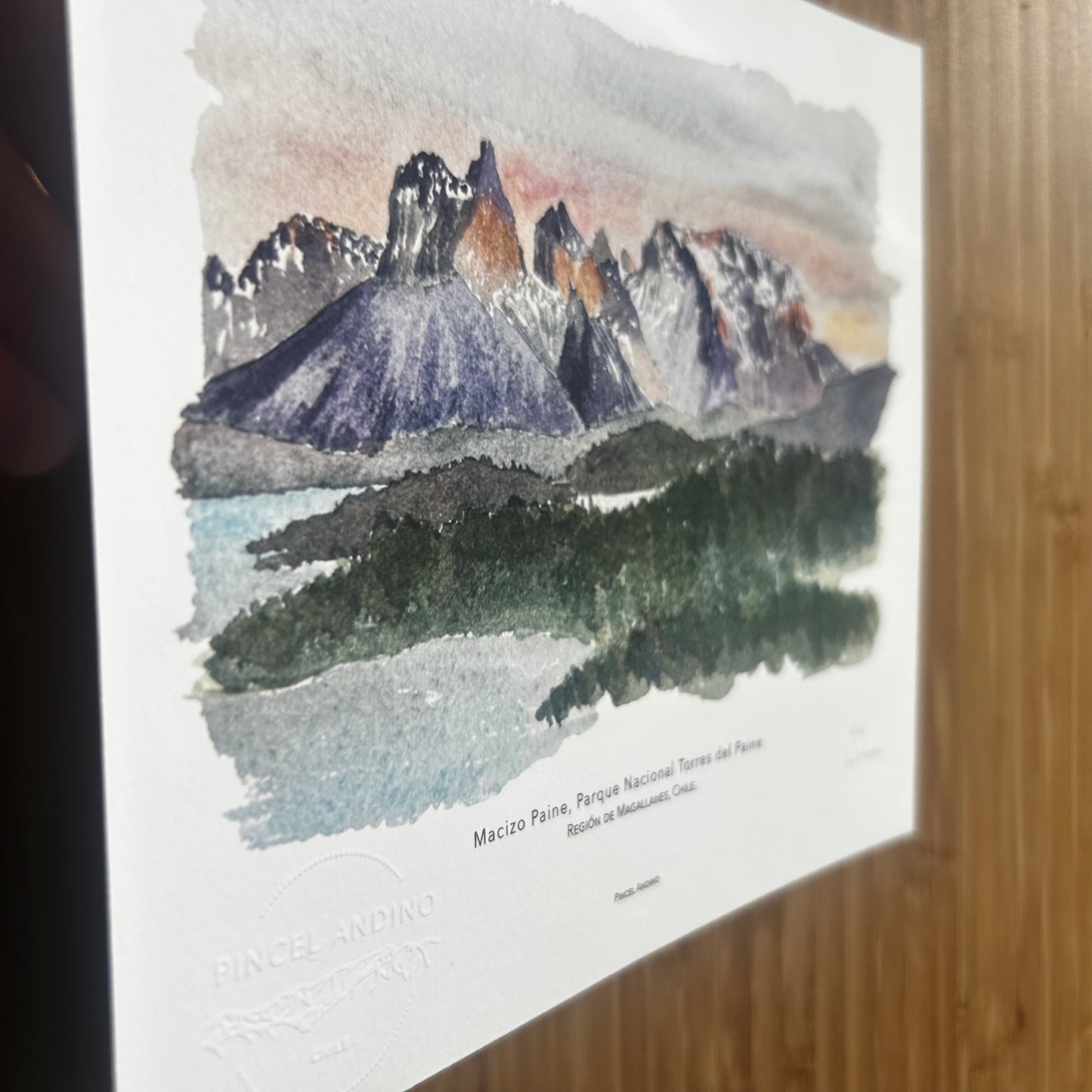 Torres del Paine. Paisaje #10