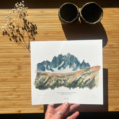 Cerro Castillo. Paisaje #03