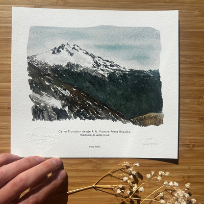 Cerro Tronador. Paisaje #43