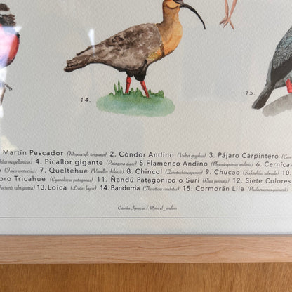 Catálogo Especies Nativas de Chile