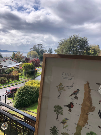 Mapa CHILE Y SUS PARQUES NACIONALES: Aves y Árboles que habitan el territorio.