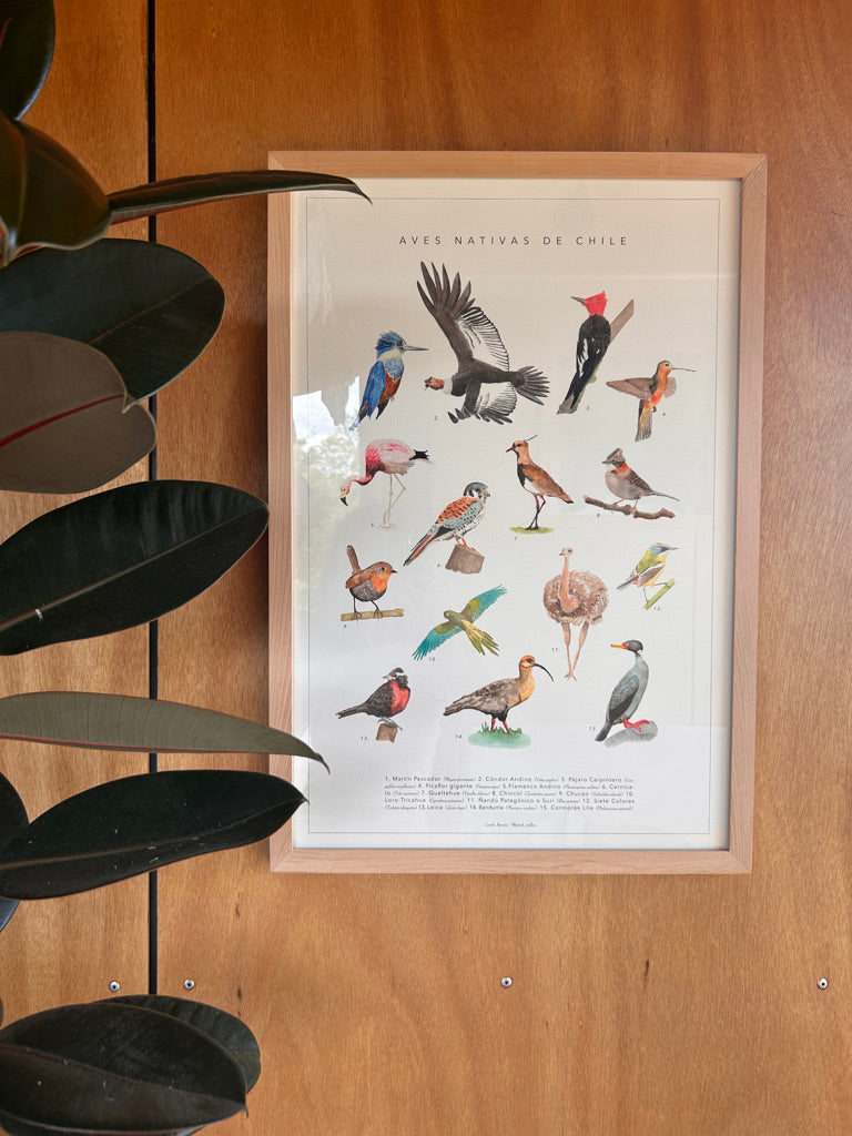 Catálogo Especies Nativas de Chile