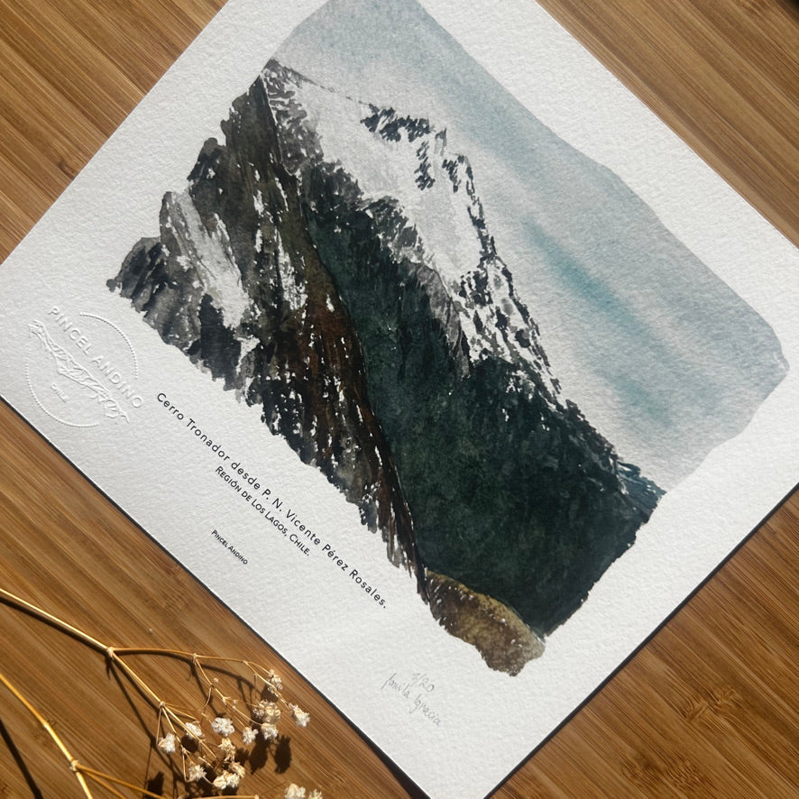 Cerro Tronador. Paisaje #43