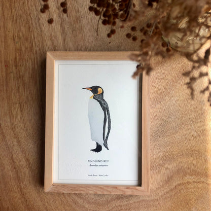 Pingüino Rey