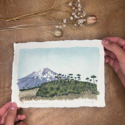 Volcán Llaima, Parque Nacional Conguillio. Paisaje #05