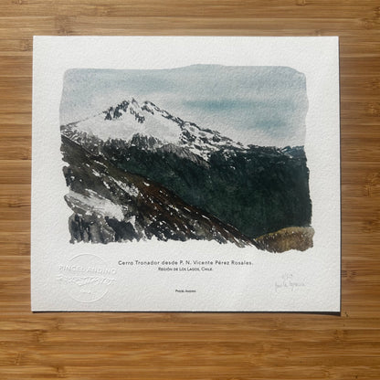 Cerro Tronador. Paisaje #43