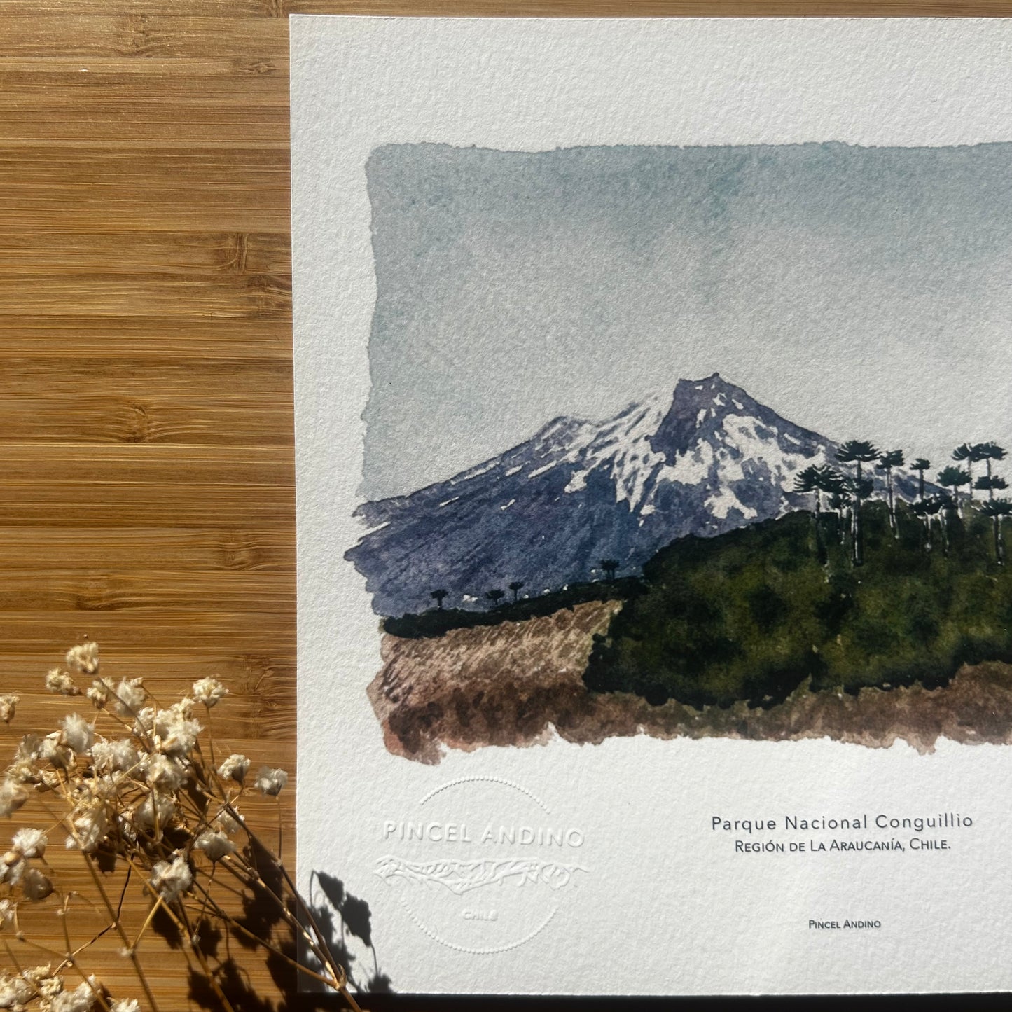 Volcán Llaima, Parque Nacional Conguillio. Paisaje #05