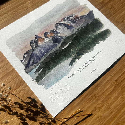 Torres del Paine. Paisaje #10