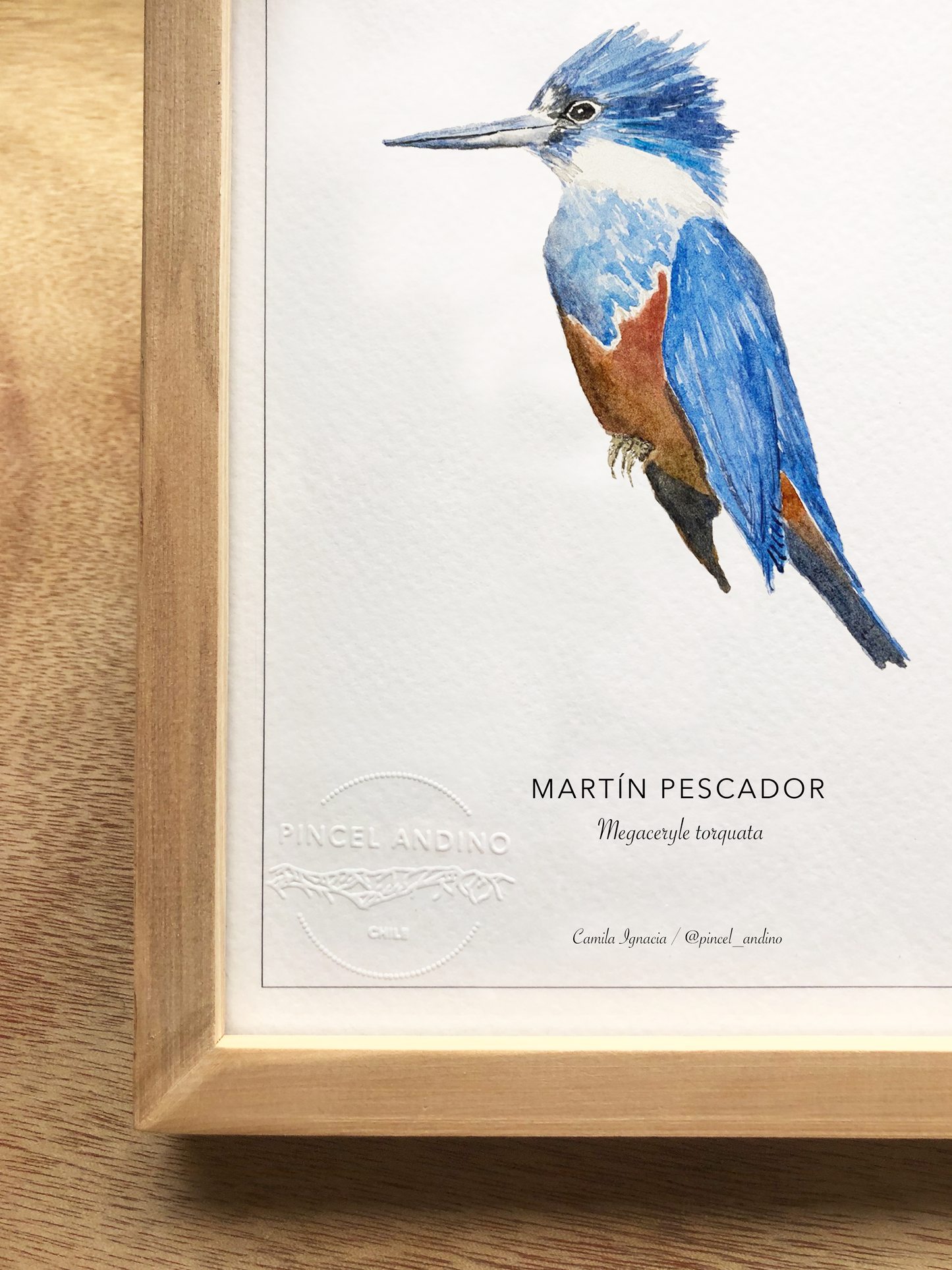 Martín Pescador
