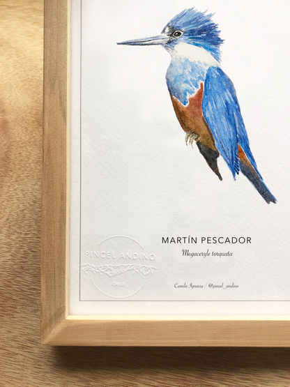 Martín Pescador