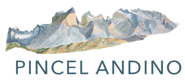 Pincel Andino